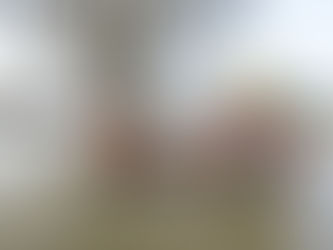 Inondations : la Charente approche les 8 mètres à Cognac