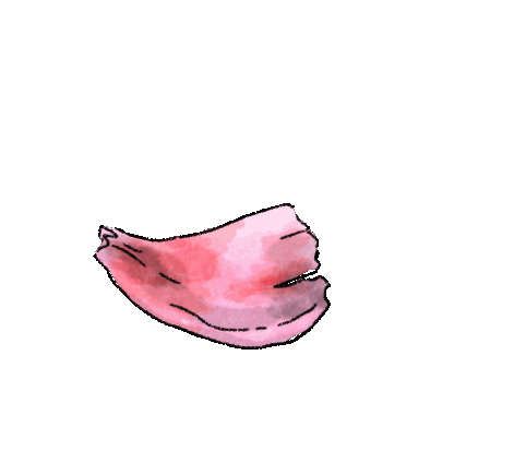 Untitled_Artwork.gif