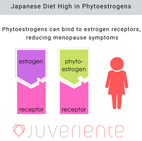 phytoestrogens-menopause-symptoms