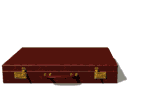 Moving-picture-case-full-of-money-gif-animation.gif