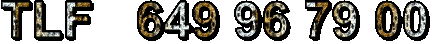 text (1).gif