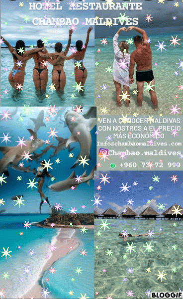 bloggif_66bc7a7730c1d.gif