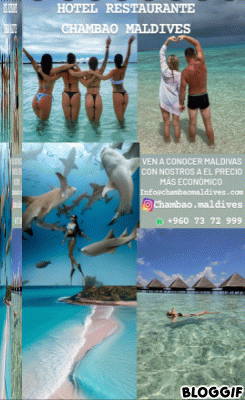 bloggif_66c07c5672661.gif