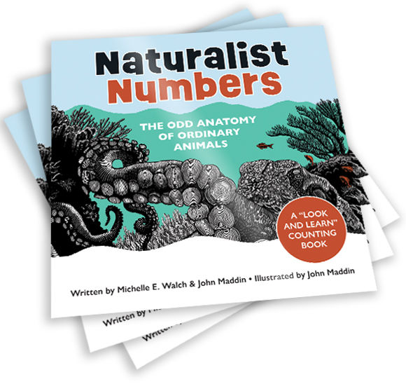 Thumbnail: Naturalist Numbers