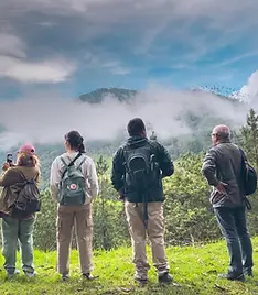 grupo de viaje en salento.jpeg