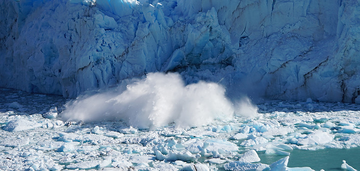 el calafate alta calidad 5 .jpg