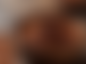 Edelkakao Pulver in einer Schüssel