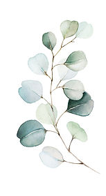 leaves1.jpg