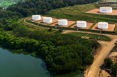 MeioAmbiente.jpg