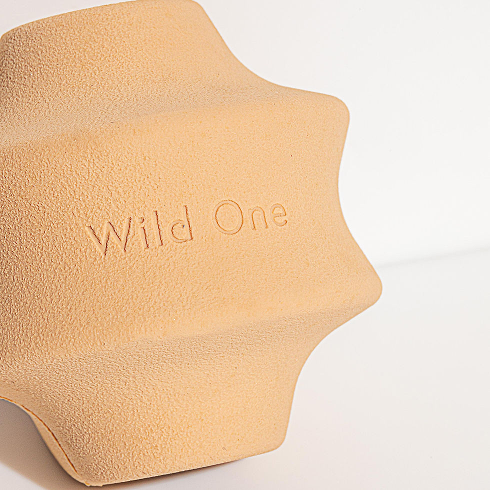 Thumbnail: Wild One Dog Toy Twist Toss