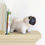 Thumbnail: Zuny Bookend Classic Pug