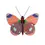 Thumbnail: Wall Art Butterflies (B7) Delias Butterfly