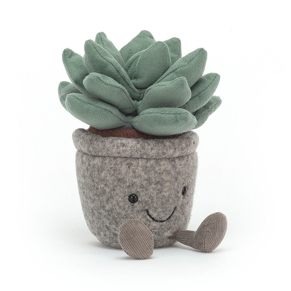 Jellycat: Silly Succulent (Azulita + Jade Plant)
