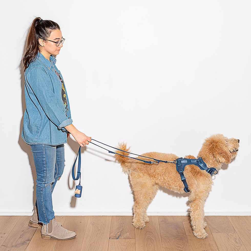 Thumbnail: Wild One Dog Poop Bag Carrier