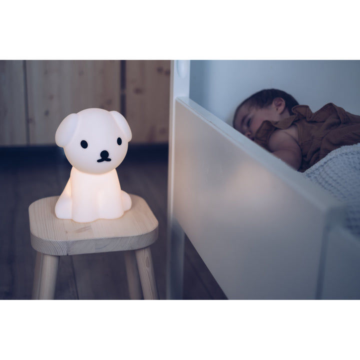 Thumbnail: Mr Maria First Light Lamp