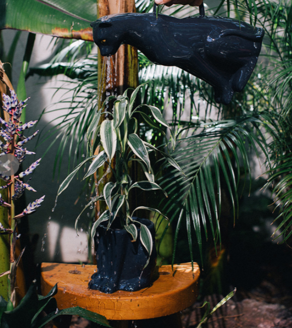 Thumbnail: Urban Jungle Watering Can Panther DOIY