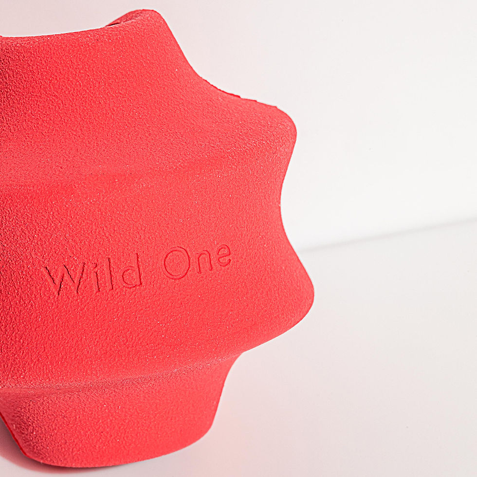 Thumbnail: Wild One Dog Toy Twist Toss