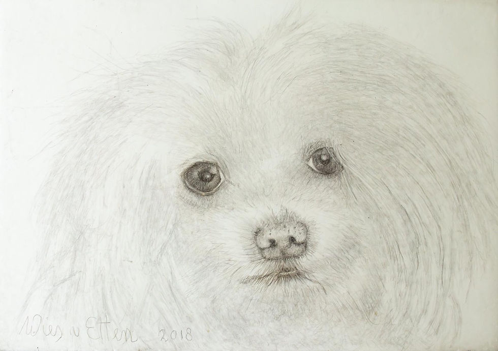 Pluisje 10 x 13 cm