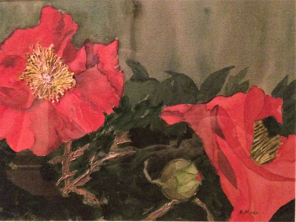 Camelia Trio