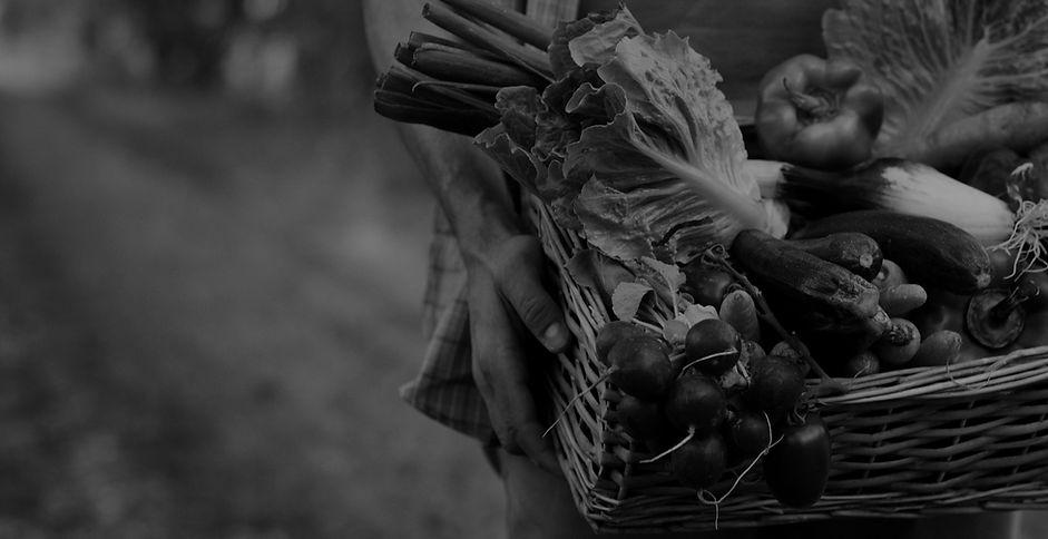 AdobeStock_148790807_edited_edited.jpg