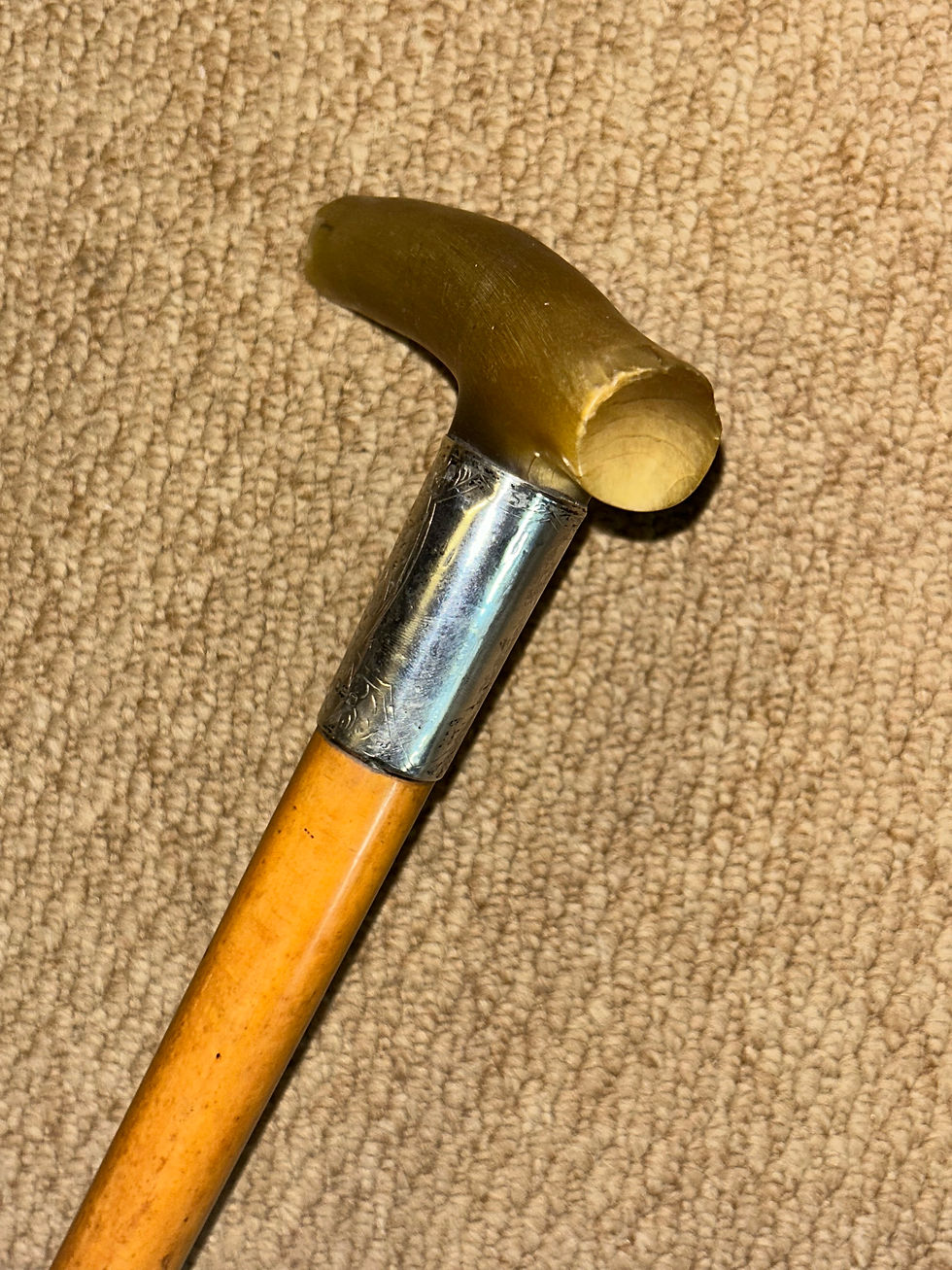 Thumbnail: Antique Walking Stick Cane - Bovine Horn Handle & Hallmarked 1917 Silver Collar