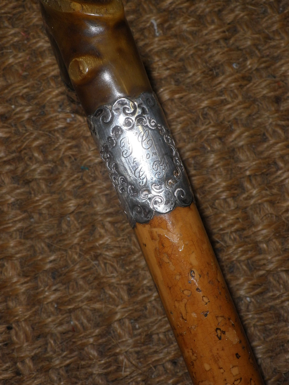 Thumbnail: Antique Hallmarked 1908 Silver Horn Handle Ladies Dress Cane 78cm
