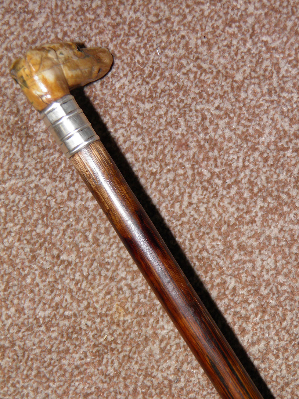 Thumbnail: Antique Hallmarked 1925 Silver Lurcher Dogs Head Walking Cane With Glass Eyes