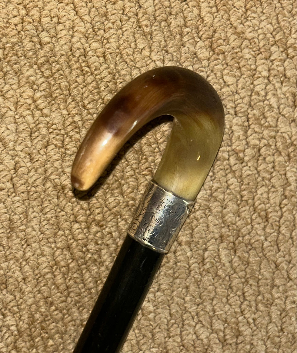Thumbnail: Antique Walking Stick / Cane - Bovine Horn Crook & Hallmarked 1932 Silver Collar