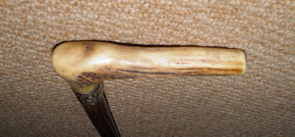 Thumbnail: Antique Bramble Walking Stick / Cane - Gold Plated Repousse Collar Antler Fritz