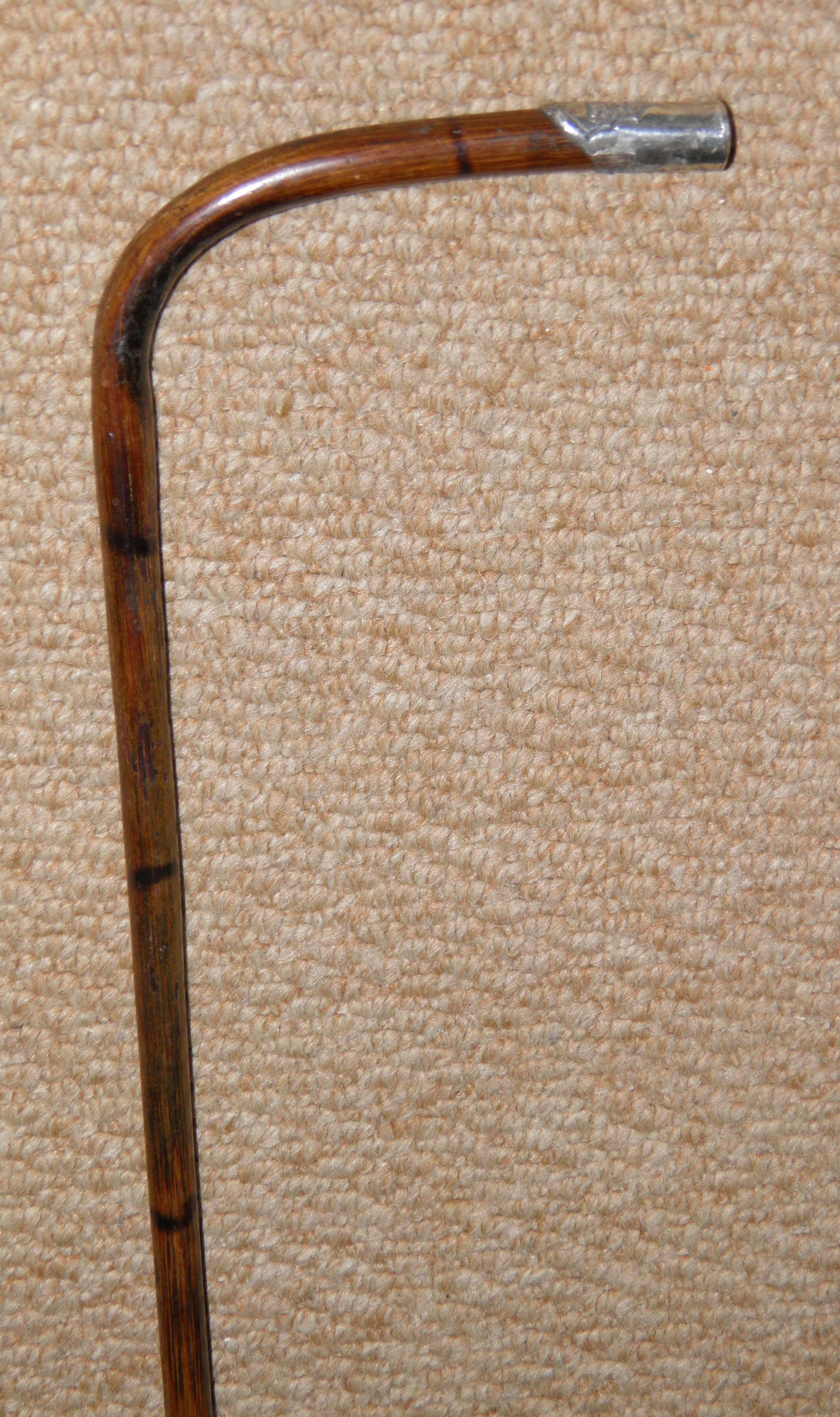 Edwardian Walking Stick Cane - Fritz Handle With Hallmarked 1902 Silver End