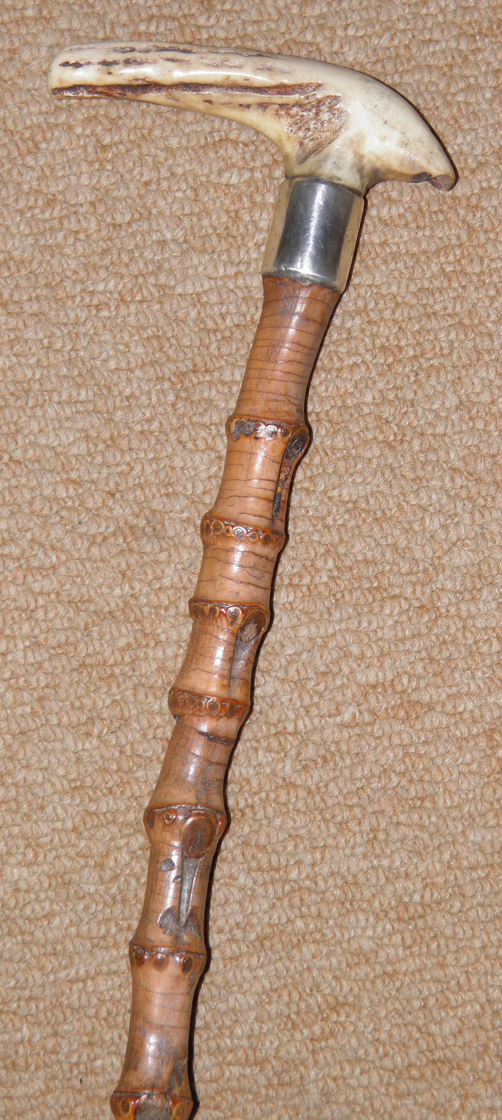 Thumbnail: Edwardian Whangee Walking Stick Cane Antler Fritz Silver Collar Hallmarked 1907