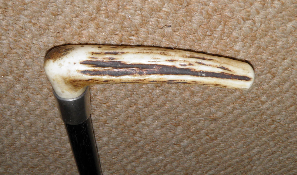 Thumbnail: Antique Walking Stick / Cane Antler Fritz Silver Collar Hallmarked1907 B Muller