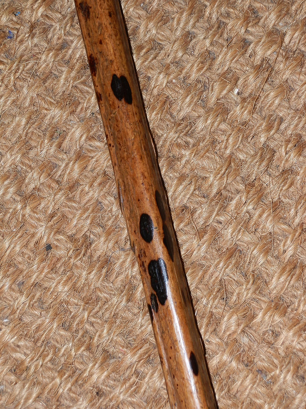 Thumbnail: Antique HM 1920 Silver Brigg Swagger Stick - Italian Battleship Andrea Doria