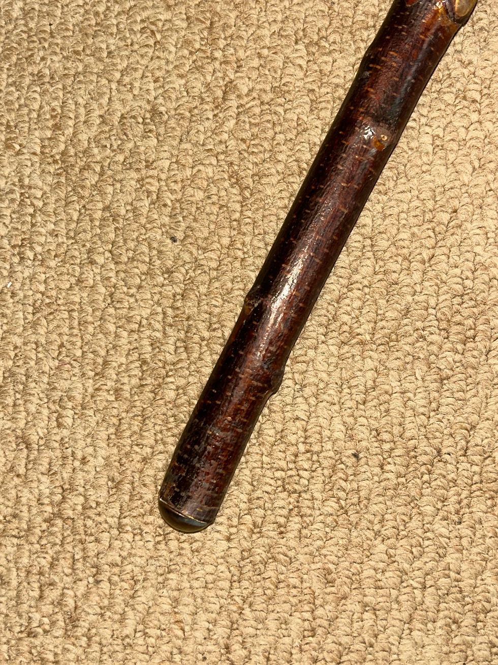 Thumbnail: Vintage Rustic Birch Walking Stick Cane - Hand-Carved Owl Top Glass Eyes