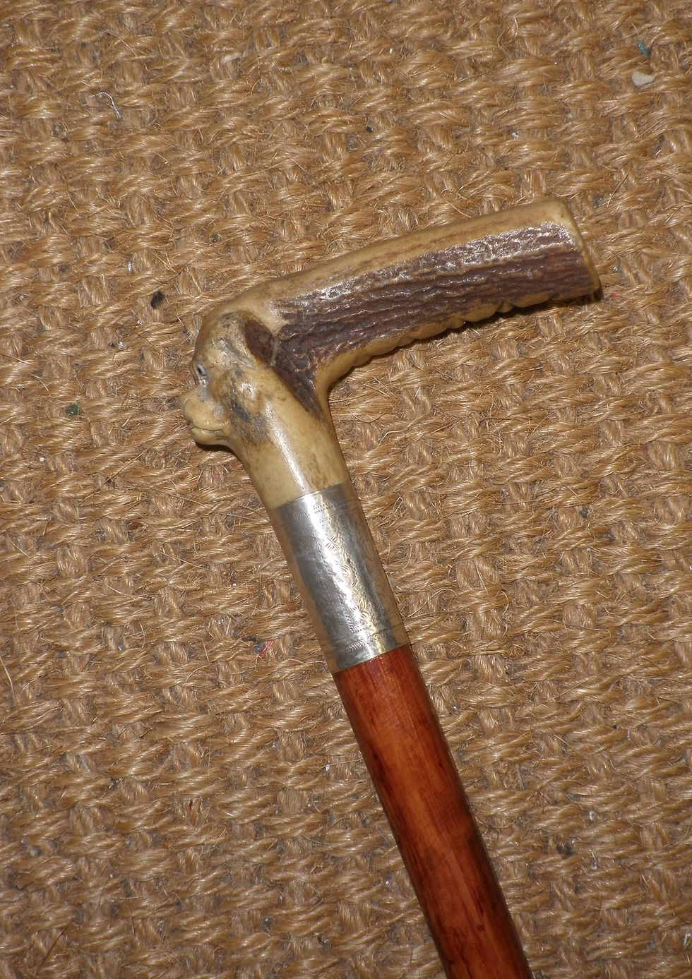 Thumbnail: Antique Hallmarked 1929 Silver Antler Handle With Dogs Face Gents Walking Cane