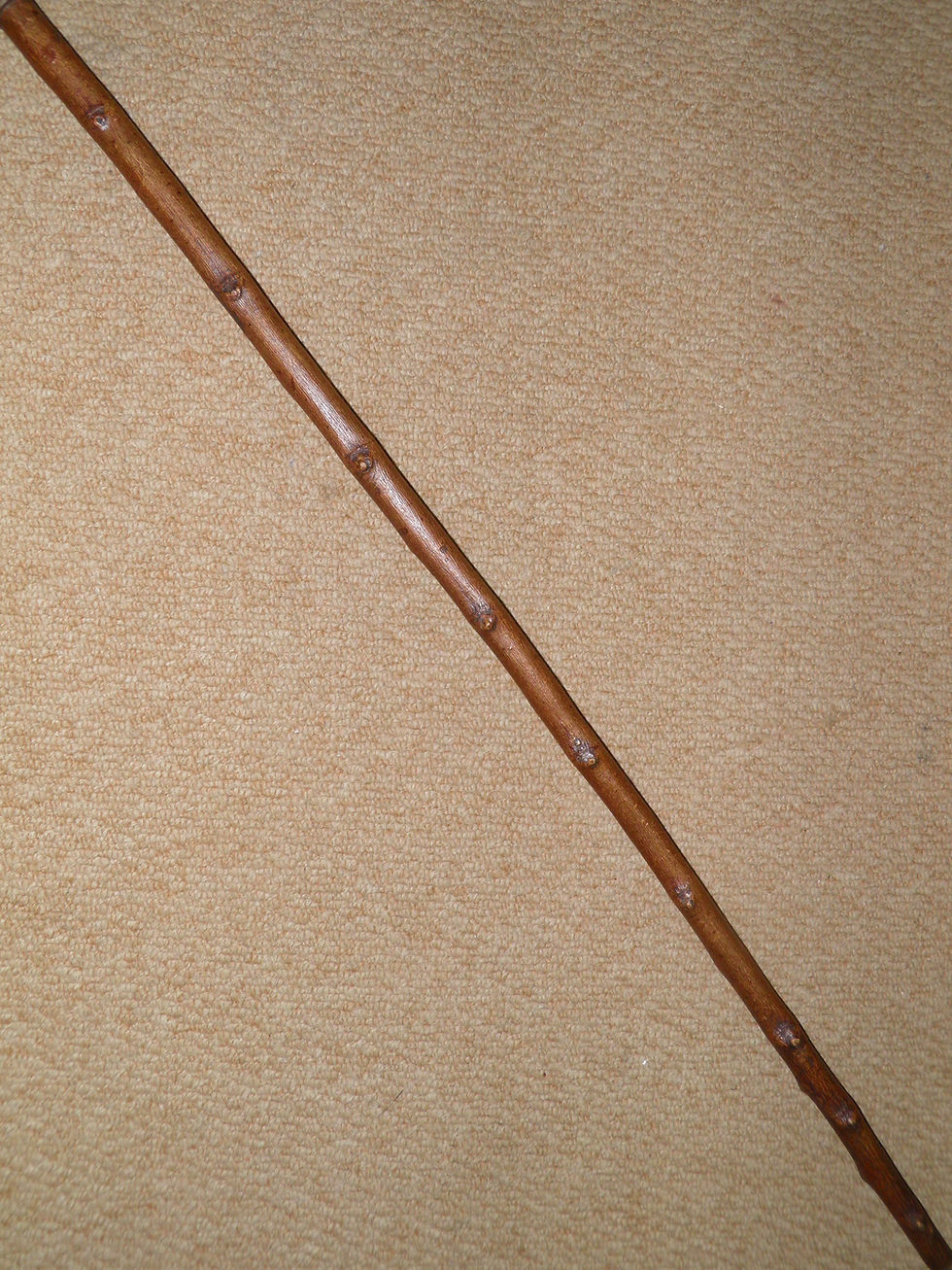 Thumbnail: Antique Rustic Fruitwood Walking Stick / Cane - Taxidermy Deer Hoof Handle 100cm
