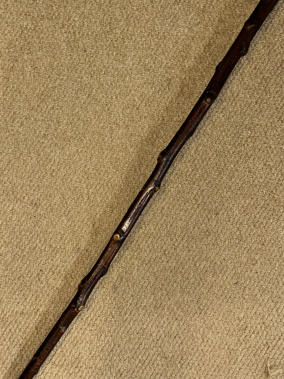 Thumbnail: Vintage Rustic Birch Walking Stick Cane - Hand-Carved Owl Top Glass Eyes