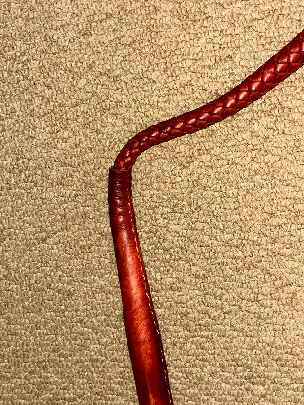 Thumbnail: Australian Western Red Cladded Leather Stock Whip Bullwhip Plaited Leather Lash