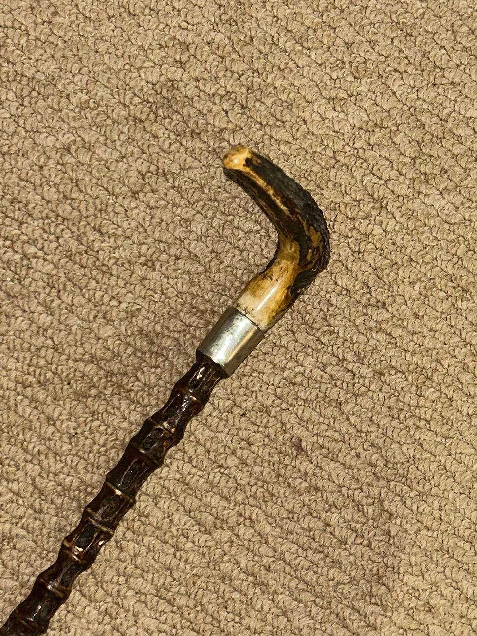 Thumbnail: Antique Shark Vertebrae Marine Bosuns Whip Swagger Stick Antler & Silver Collar