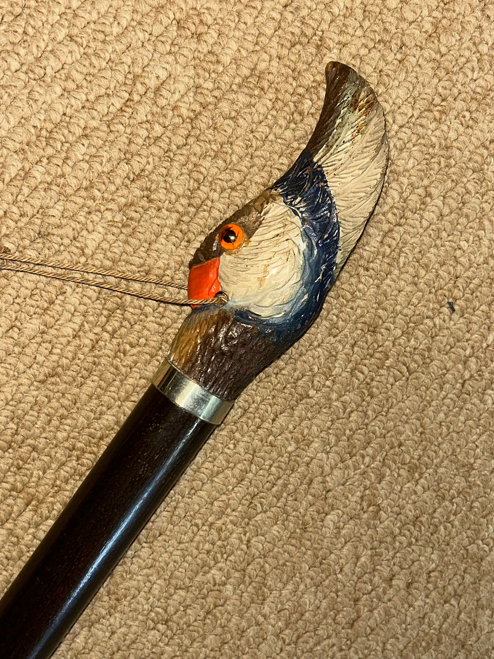 Thumbnail: Antique Walnut Walking Stick Cane - Hand Carved & Painted Parrot & Silver Collar