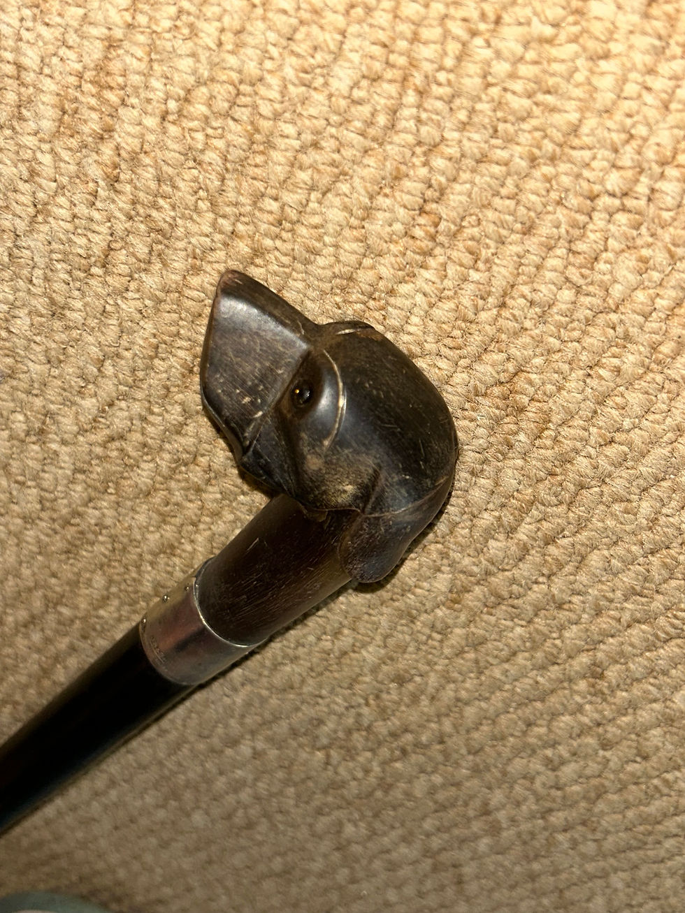 Thumbnail: Antique Walking Stick - Bovine Horn Dog Head Handle & Silver Collar By J.Smith