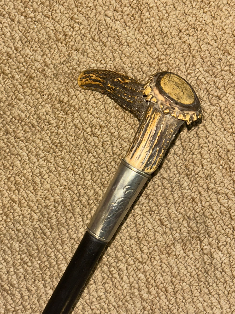 Thumbnail: Antique USA Walking Stick - Antler Handle & Sterling Silver Collar By Gorham MFG