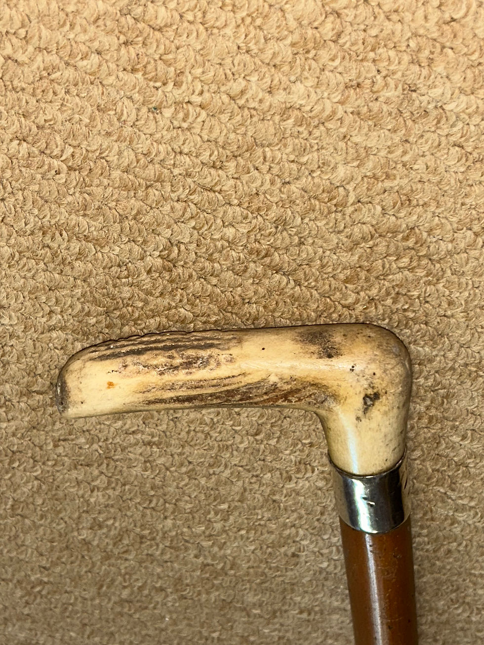 Thumbnail: Antique Walking Stick / Cane Antler Fritz Handle & Hallmarked 1882 Silver Collar