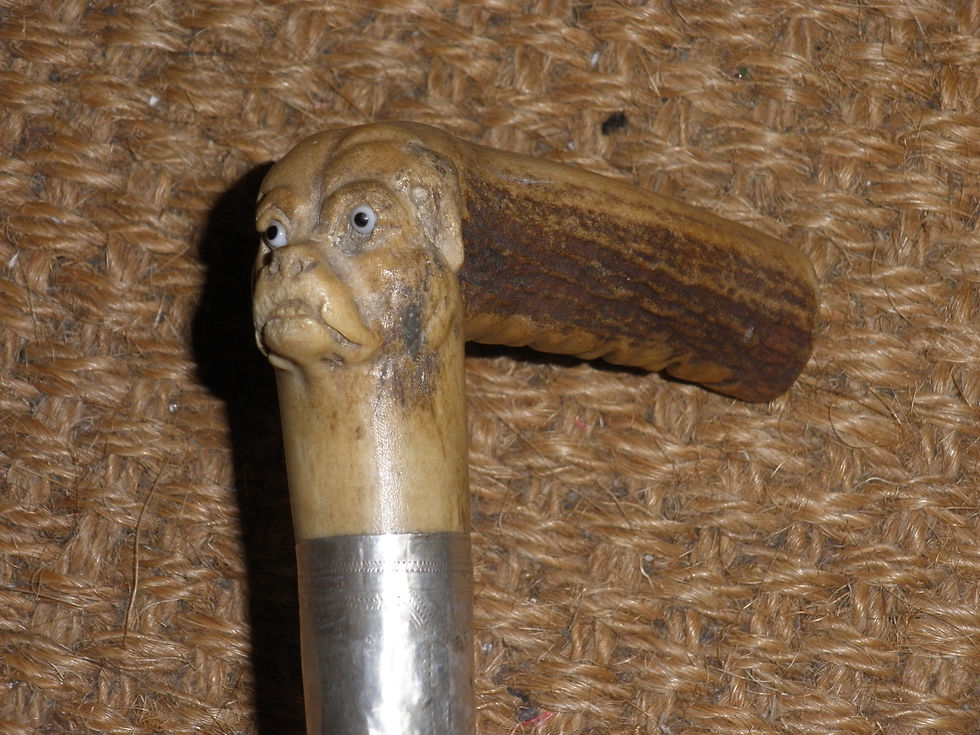 Antique Hallmarked 1929 Silver Antler Handle With Dogs Face Gents Walking Cane