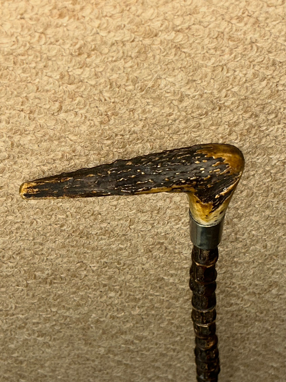 Thumbnail: Antique Shark Vertebrae Marine Bosuns Whip Swagger Stick Antler & Silver Collar