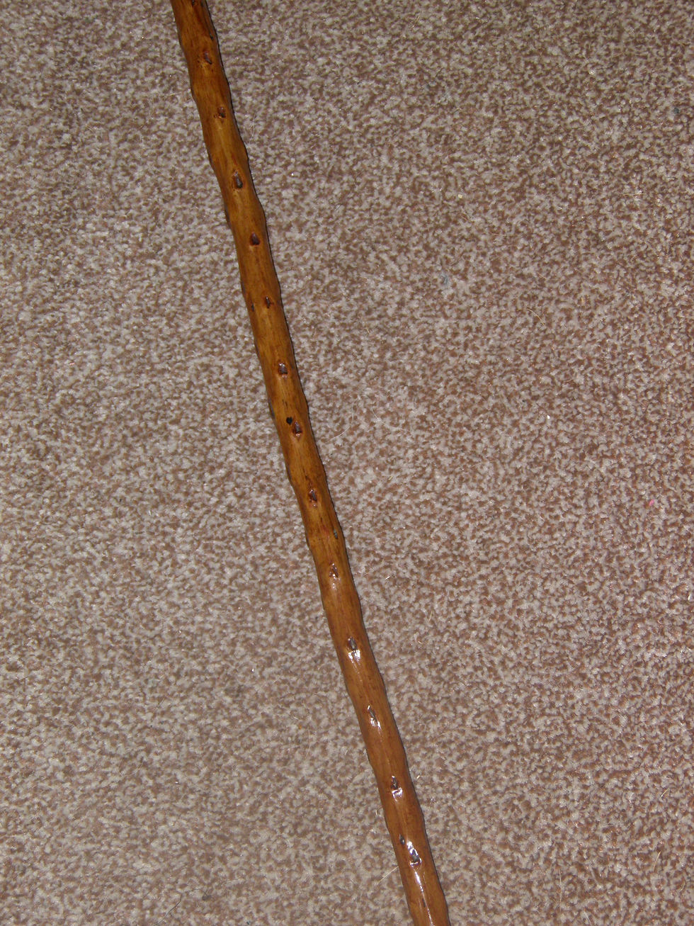 Thumbnail: Antique Hallmarked 1899 Silver Ladies Rustic Thorny Dress Cane 91cm