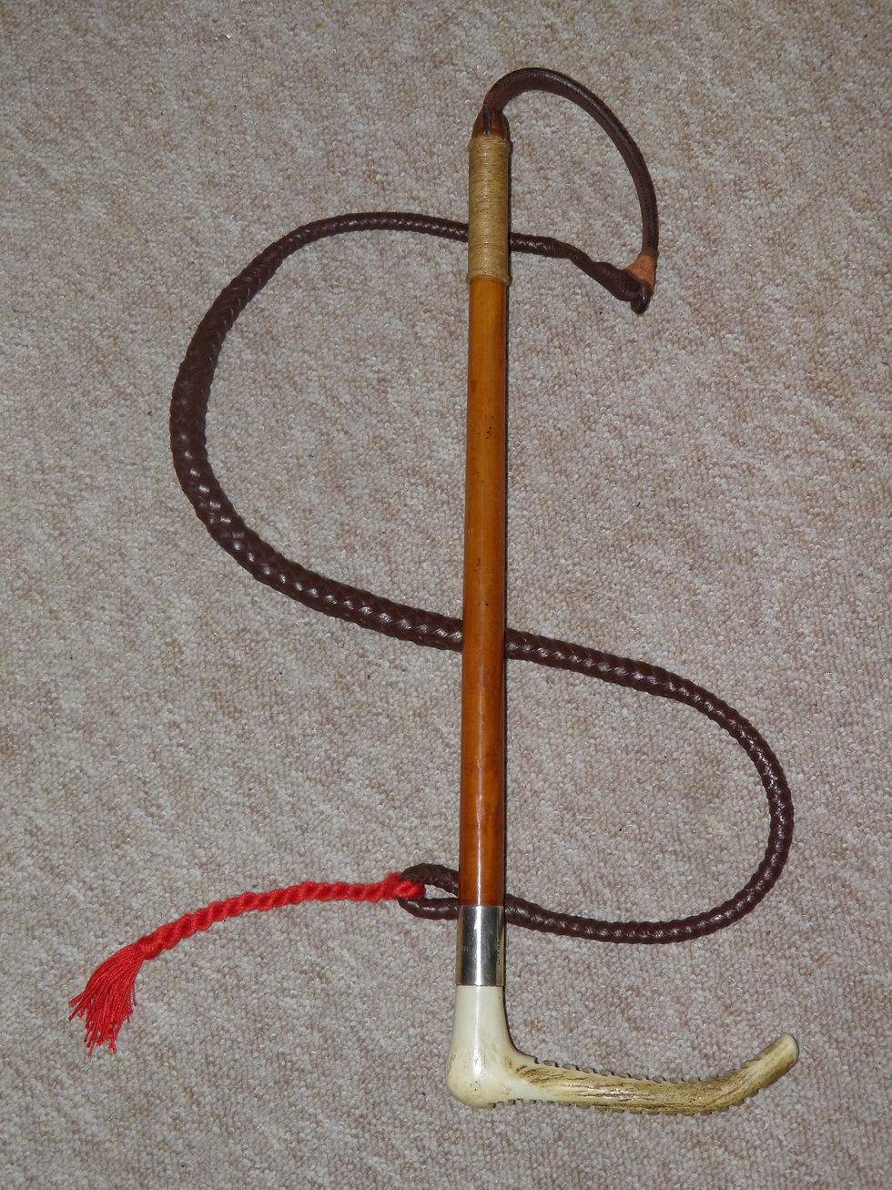 Antique HM 1920 Silver Gents Malacca Cane Hunt Whip & Leather Lash 'To E.Colyer'