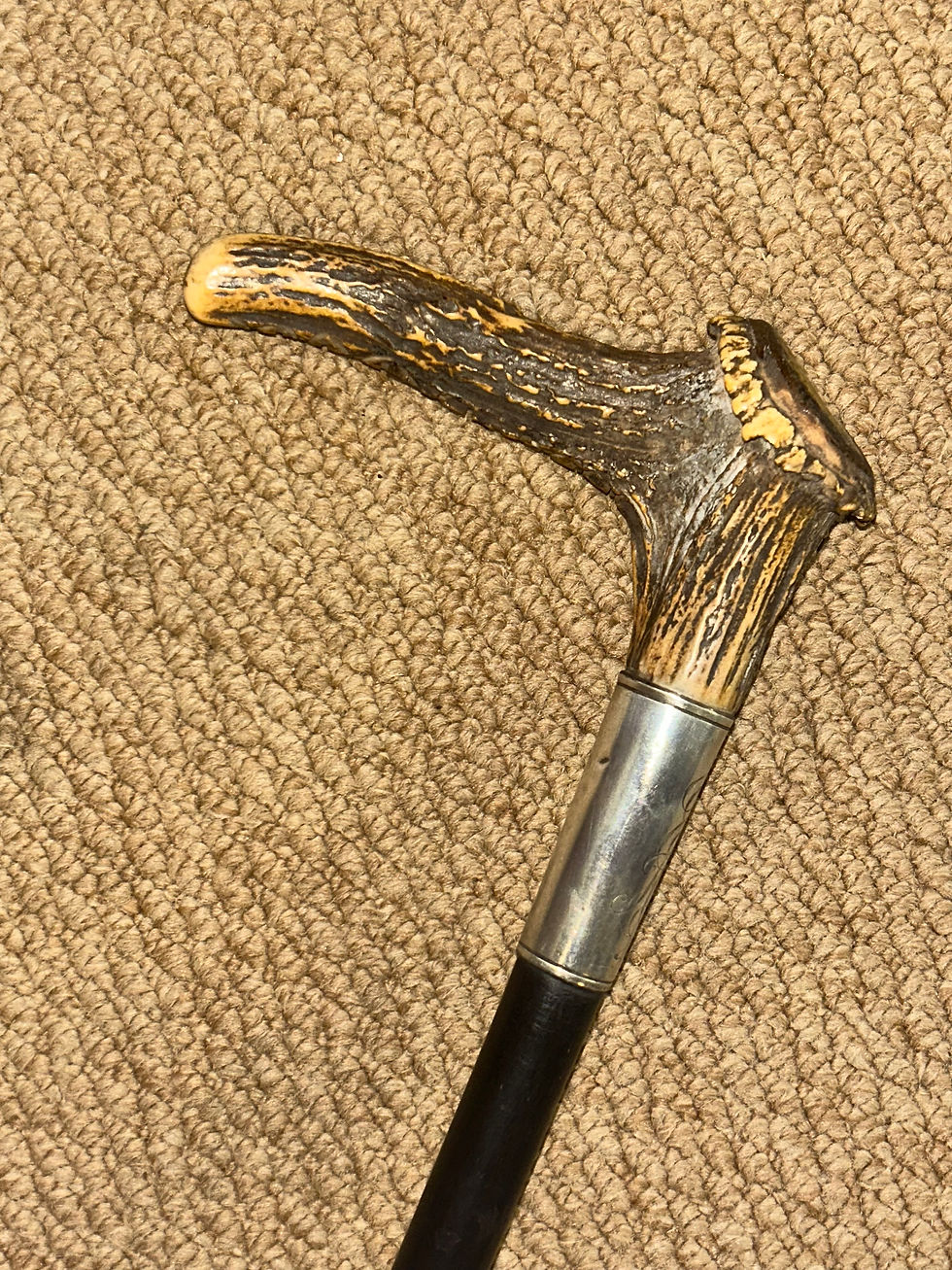 Thumbnail: Antique USA Walking Stick - Antler Handle & Sterling Silver Collar By Gorham MFG