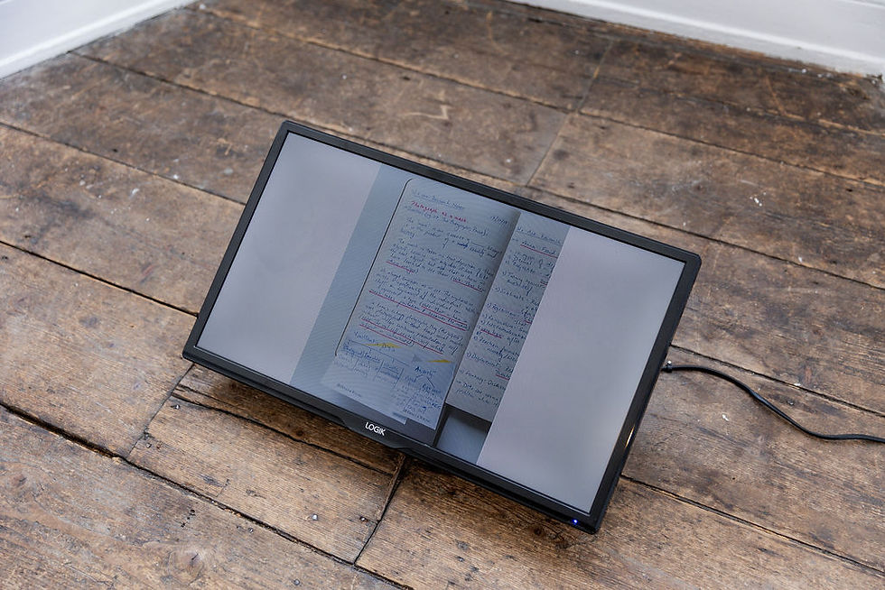 Rohan Hande's diary pages at fragile Strength exhibition