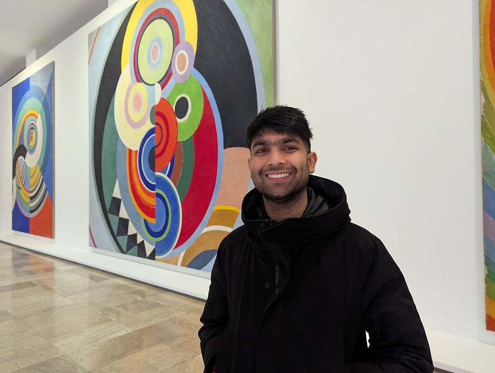 a visitor in a gallery looking at the artists works.